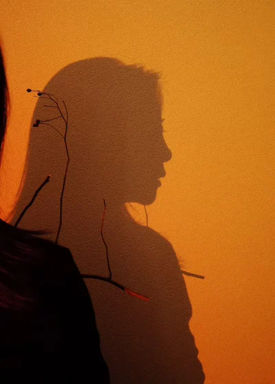 Das Bild zum Kurs "Was ist Leerheit" zeigt den Schatten einer weiblichen Person, der sich an einer orange belichteten Wand abbildet.